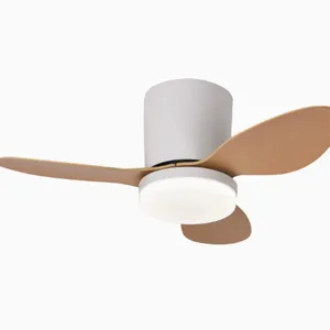 25-inch Three-blade Ceiling Fan Light /DC Inverter Motor Full Copper Motor Low Decibel（Wechat:13510231336） thumbnail-1