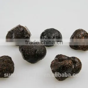Wild Source and Truffles Product Type Desert Truffles thumbnail-5