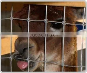 Deer Fence Netting(factory) thumbnail-1