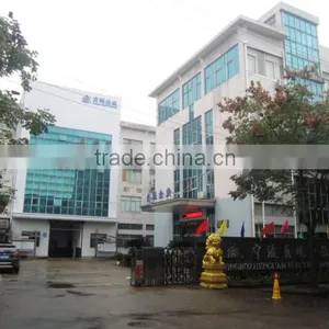 Ningbo Zhenguan Electric Appliance Co., Ltd. company overview - view 2 thumbnail