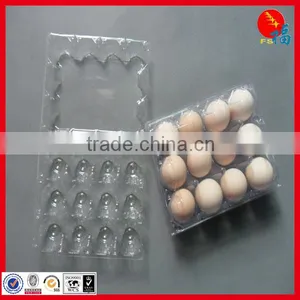 Glassclear Egg Packaging Tray in PET thumbnail-2
