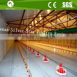 Full Automatic Chicken Equipment Poultry Farming Shed thumbnail-3