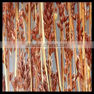 Shopping Mall Partition Design Dichroic Acrylic Sheets thumbnail-6