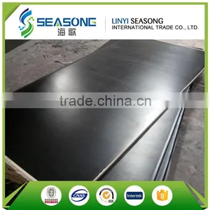 for Overseas Market Film Faced Plywood for Construction thumbnail-5