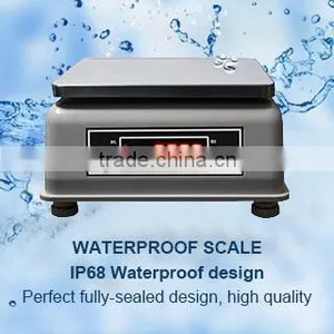 Factory Direct Waterproof Body Weighing Scale (model FS) thumbnail-1