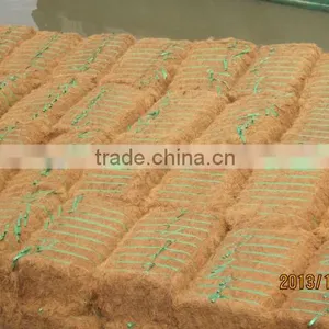 Coconut Fiber (QQ : 2598494113) thumbnail-5