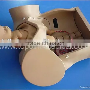 Birth Giving Model Medical Model Training Model thumbnail-5