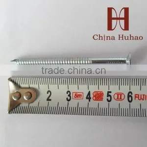 25mm (1") Ring Shank Nails thumbnail-1