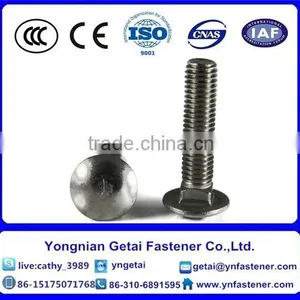 Stainless Steel 304 Carriage Bolt Din603 thumbnail-1