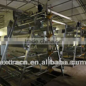 Chicken Cages thumbnail-1