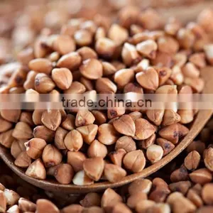 BUCKWHEAT KERNELS FOR FOOD thumbnail-1