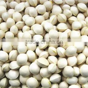 Yin Xing Dried Ginkgo Fruits Ginko Biloba thumbnail-5