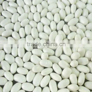 Japanese Style White Kidney Beans thumbnail-1