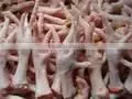 Iqf Frozen Chicken Feet thumbnail-1