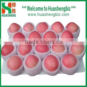 China 9kg-20kg Carton Fresh Fuji Apple thumbnail-4