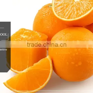 Fresh Oranges From China thumbnail-1