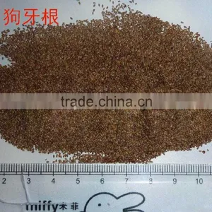 2016 New High Quality Grass Seeds Bermuda Grass Seeds For Sale thumbnail-6