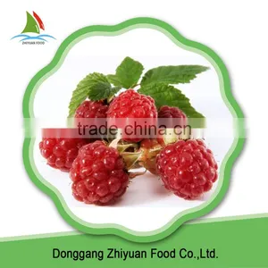 China 2016 New Crop IQF Frozen Red Raspberry for Export thumbnail-5
