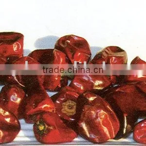 Bell Pepper thumbnail-1