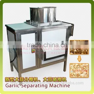 FX-139 Low Damage Rate Commercial Fresh Garlic Separating Machine /Garlic Dividing Machine / Garlic Separator thumbnail-1