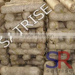 Hot Sale From China Professional Manufacturer Shiitake Mushroom Log thumbnail-4