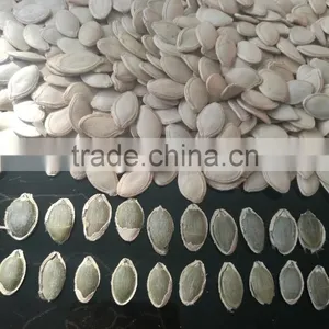 Snow White Pumpkin Seeds in Shell thumbnail-6