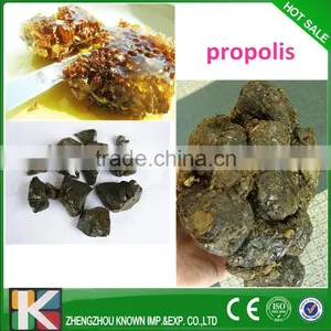 Raw Material Propolis for Health Food/Cosmetic Bee Propolis Price thumbnail-2