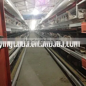 Most Popular Design Full Automatic Layer Chicken Cage for Sale thumbnail-2