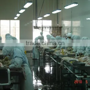 Poultry Processing Up to 8,000bph 008618052092685 thumbnail-1