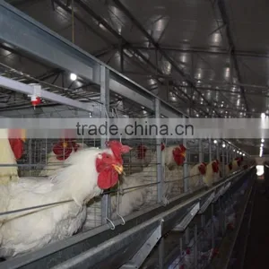 Battery Cages thumbnail-2