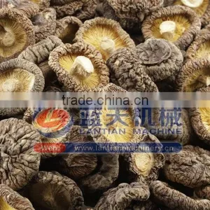 Fruits And Vegetable Drying Machine thumbnail-5