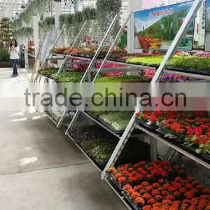 A11 Low Noise Pot Plant and Flower Danish Trolley Carts thumbnail-1