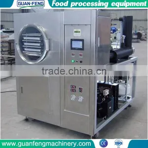 Quality Warranted Food Processing Machinery Fruit Lab Vacuum Freeze Dryer thumbnail-1