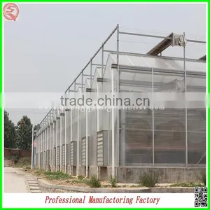 Commercial Steel Frame Venlo Polycarbonate Greenhouses With Irrigation System thumbnail-1
