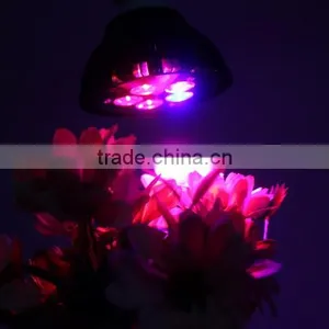 Full Spectrum E27 15w Led Grow Light Red+Blue Indoor Grow Box Hydroponic Systems Lamps for Plants Led Aquarium Grow Tent thumbnail-4