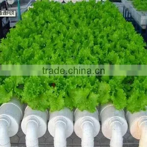 HDPE LDPE Irrigation Pipe thumbnail-5