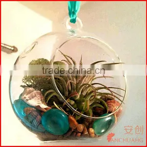 Acrylic Hanging Terrarium TE01 thumbnail-2