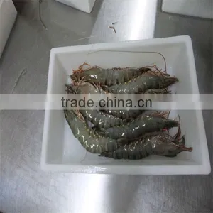 Frozen Shrimp and Rice thumbnail-1