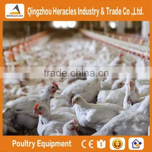 ISO9001 Qualified HERACLES Poultry Equipment Broiler Chicken Feeder /automatic Dosatron Nipple Drinker for Sale thumbnail-1