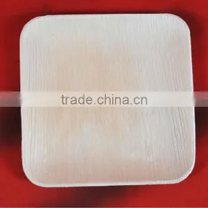Biodegradable Tableware thumbnail-4