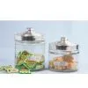 Glassware thumbnail-1