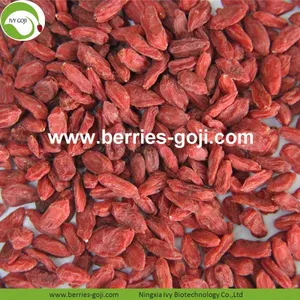 Factory Supply Nutrition Dried Lycium Berry thumbnail-1