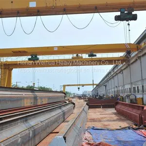 Semi Gantry Crane thumbnail-1