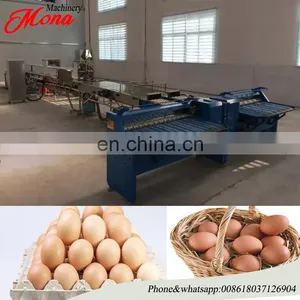 Manufacturer Egg Processing Machine / Automatic Egg Grader / Egg Weight Classifier Machine thumbnail-5