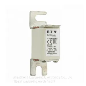 170M2668 Eaton Bussmann Series High Speed Square Body Fuse, 700V UL thumbnail-3