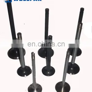 High Performance Auto Oil 16 Quick Car Engine Intake And Exhaust Valves For Nissan For Toyota For Isuzu 4HF1 thumbnail-2