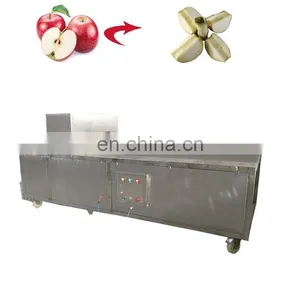 Cheapest Price Henan Automatic Cherry Olive Kernel Corer Date Seed Pit Pitter Corer thumbnail-3