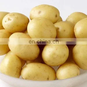 Potato Washing/drying/sorting/grading Machine thumbnail-5
