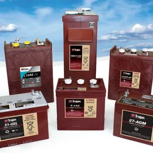 Qiu Jian Trojan Battery T-105 American Qiu Jian Battery 6V225AH Sightseeing Car T105 Floor Scrubber Battery thumbnail-2