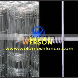 High Quality Hog Wire Fencing for 10years thumbnail-1